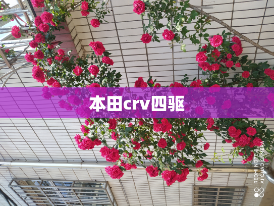 本田crv四驱