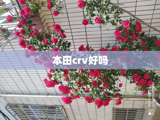 本田crv好吗