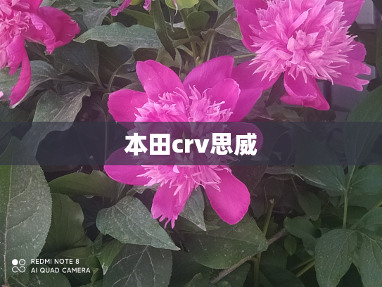 本田crv思威