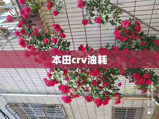 本田crv油耗
