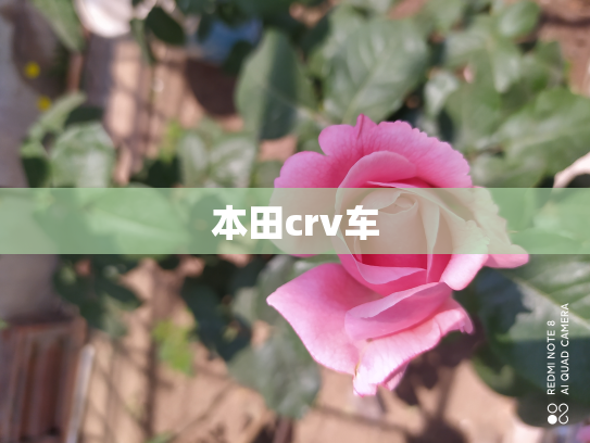 本田crv车