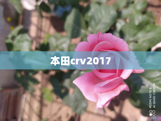 本田crv2017