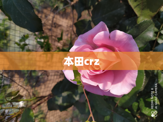 本田crz