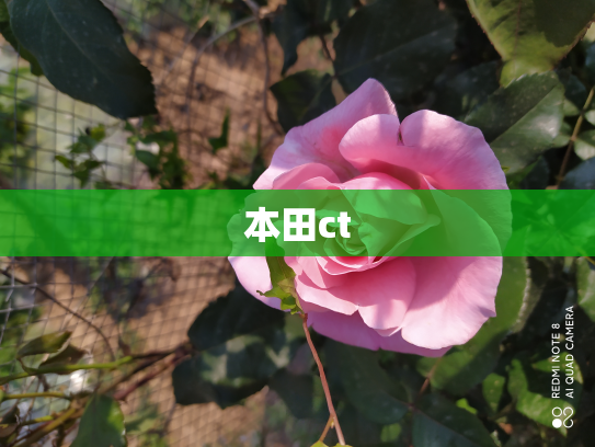 本田ct