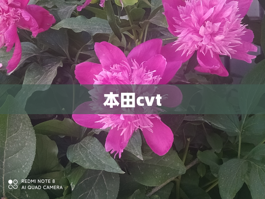 本田cvt