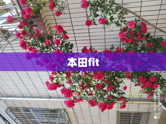 本田fit