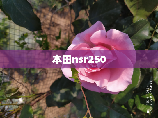 本田nsr250
