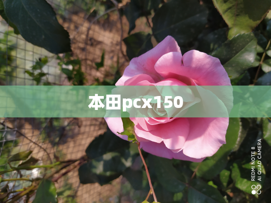 本田pcx150