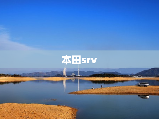 本田srv