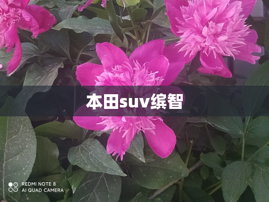本田suv缤智