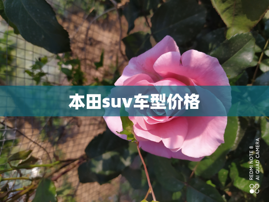 本田suv车型价格
