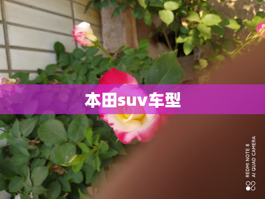 本田suv车型