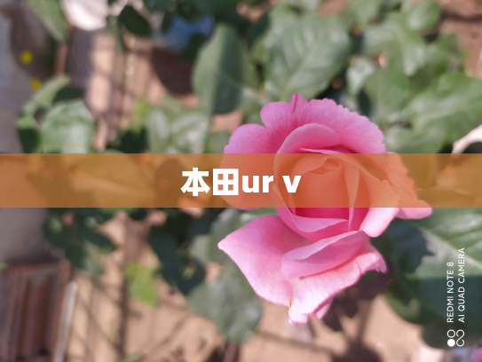 本田ur v