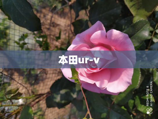 本田ur-v