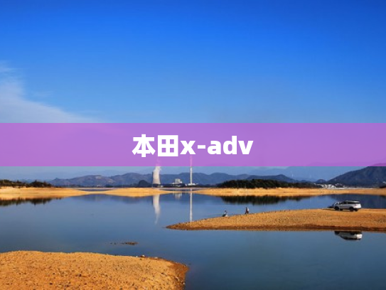 本田x-adv