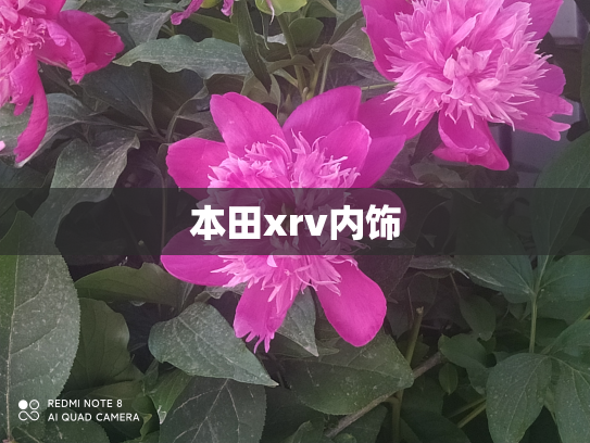 本田xrv内饰