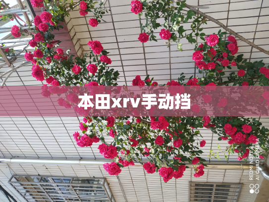 本田xrv手动挡