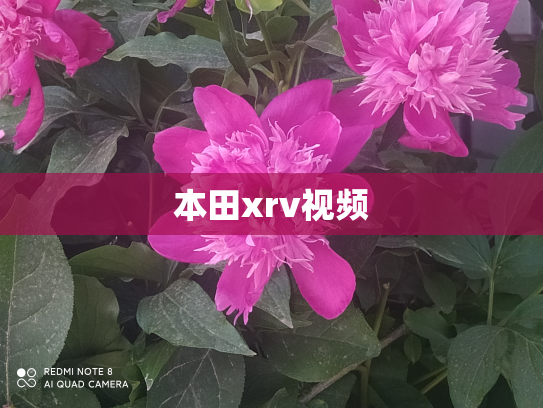 本田xrv视频