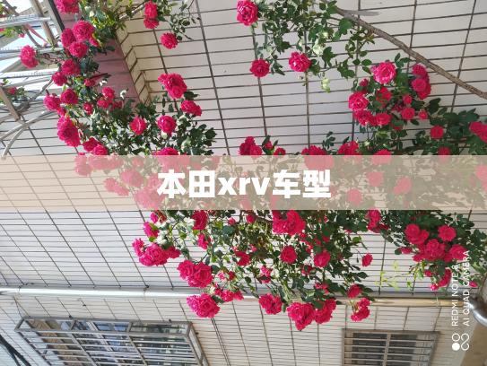 本田xrv车型
