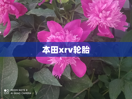 本田xrv轮胎