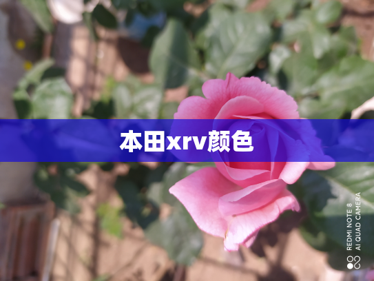 本田xrv颜色