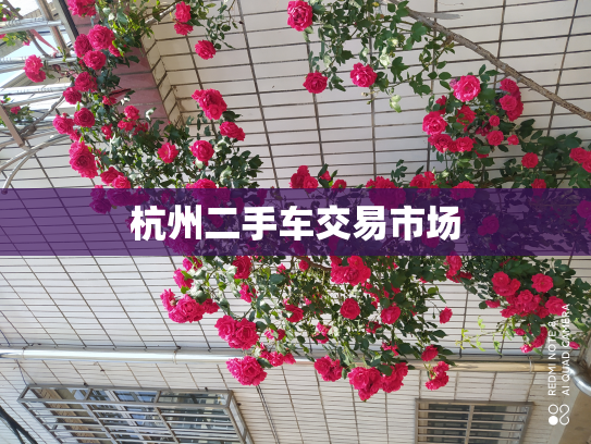 杭州二手车交易市场
