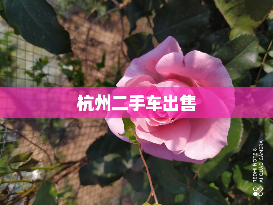 杭州二手车出售