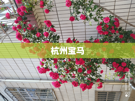 杭州宝马