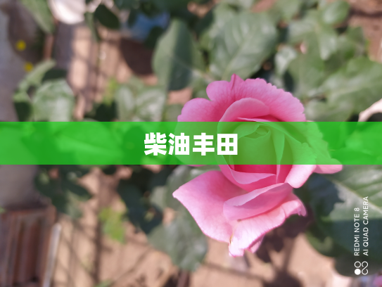 柴油丰田