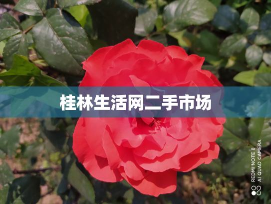 桂林生活网二手市场