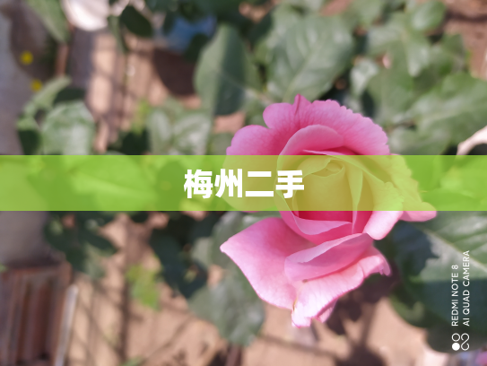 梅州二手