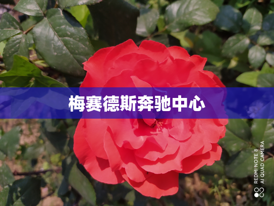 梅赛德斯奔驰中心