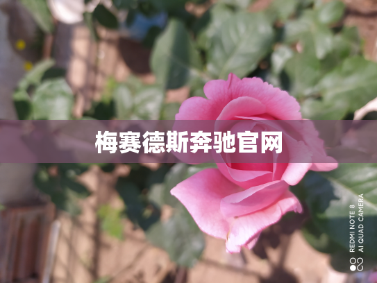 梅赛德斯奔驰官网