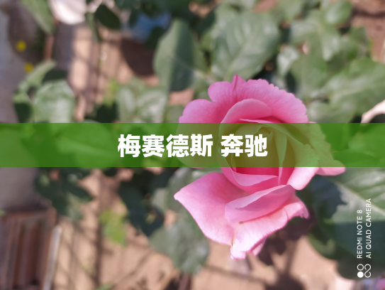 梅赛德斯 奔驰