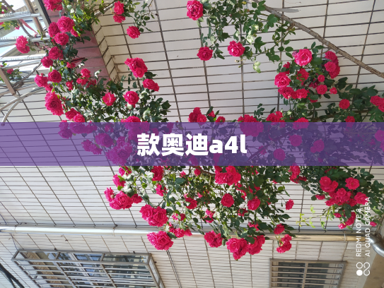 款奥迪a4l