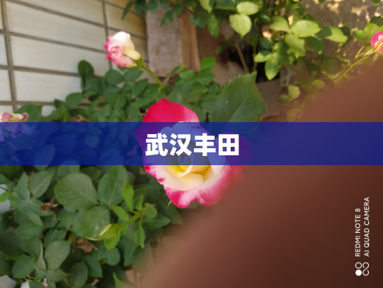 武汉丰田