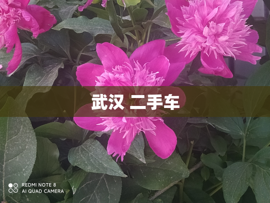 武汉 二手车