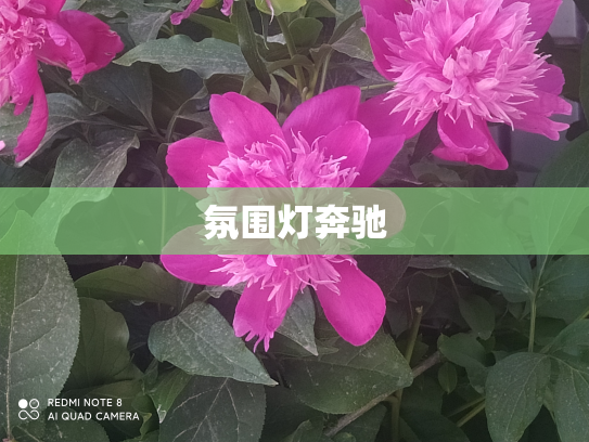 氛围灯奔驰