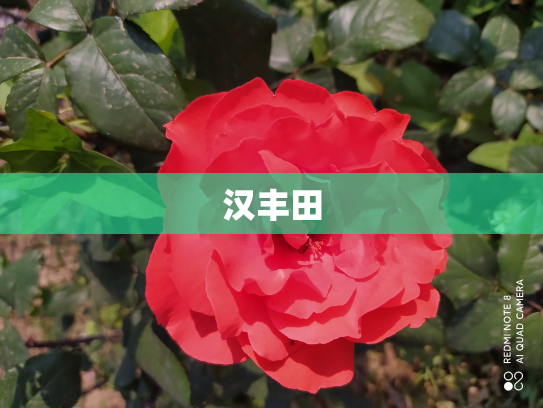 汉丰田