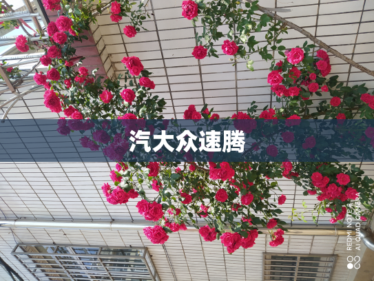 汽大众速腾