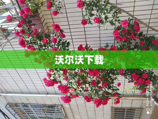 沃尔沃下载