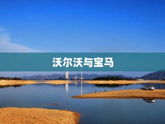 沃尔沃与宝马