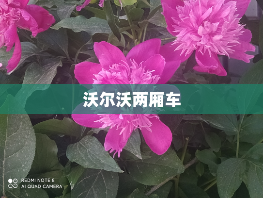 沃尔沃两厢车