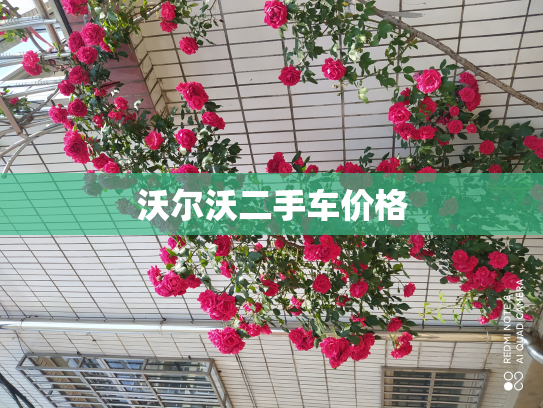 沃尔沃二手车价格