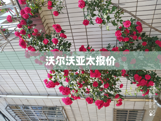 沃尔沃亚太报价