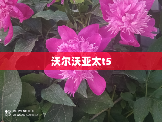 沃尔沃亚太t5