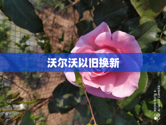 沃尔沃以旧换新