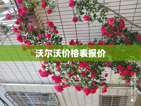 沃尔沃价格表报价
