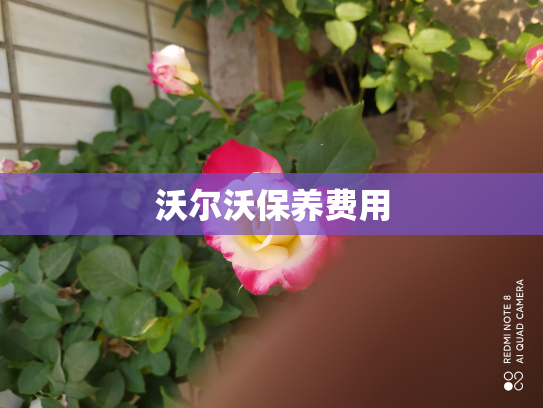 沃尔沃保养费用