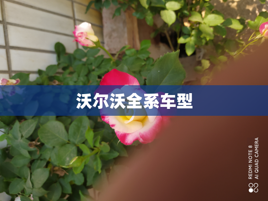 沃尔沃全系车型